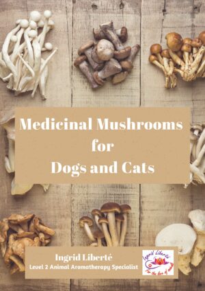 Mushroom Guide